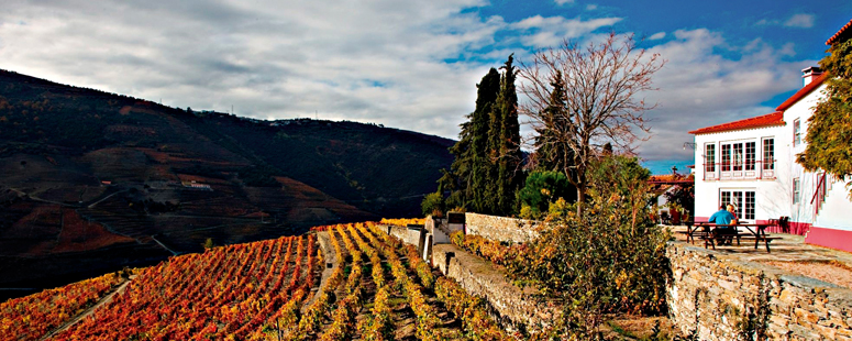 Roteiro para aproveitar o melhor do vinho em Portugal - nacionalidade portuguesa