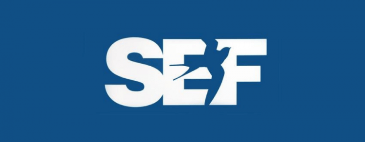 SEF Portugal