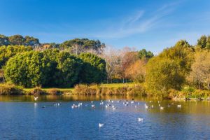 Parques da cidade de Porto